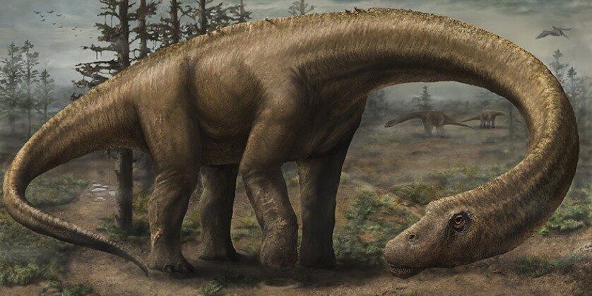Arqueólogos descobriram o maior dinossauro que deve ter andando pela superfície terrestre. Nomeado de Dreadnoughtus, o animal tinha o tamanho de sete elefantes selvagens e pesava mais de 65 toneladas. Até o momento, 70% dos ossos que compunham o dinossauro já foram descobertos, mas mesmo com 30% a menos já é possível fazer previsões de como ele era enquanto vivo