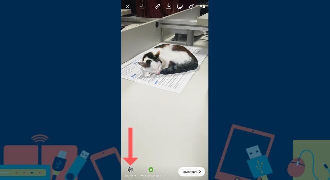 Filtro-Instagram- gatos-tutorial