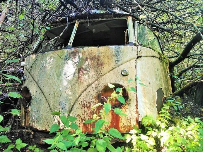 Muitas das carrocerias estão cobertas de musgos e perfuradas pela ferrugem e pela própria natureza
