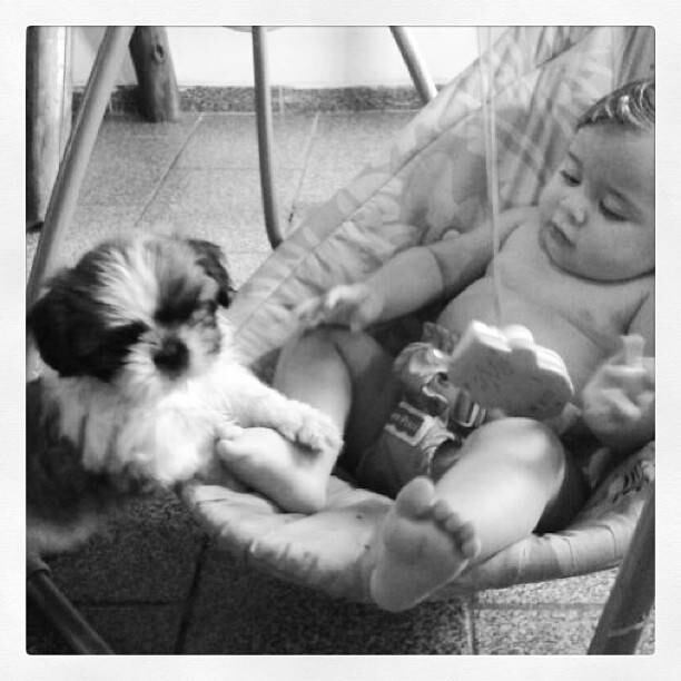 Debby Lagranha mostra foto da filha ao lado de cachorrinho