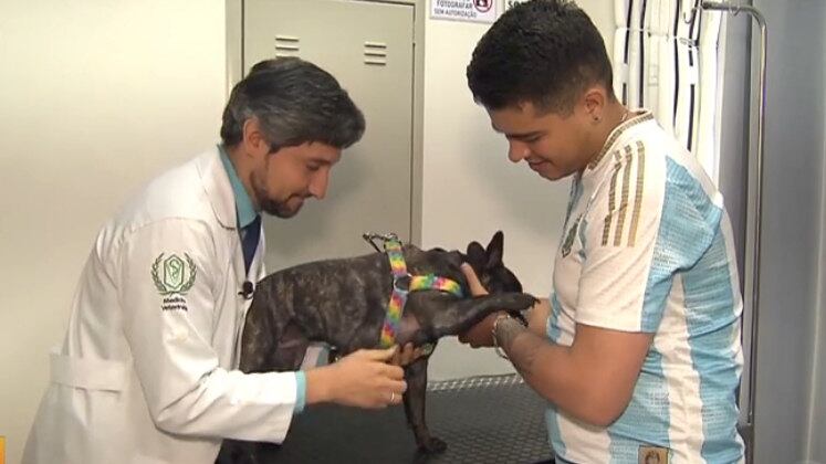 Alguns hábitos simples e diários podem ajudar a prevenir a doença: mantenha seu cão curioso e estimulado, varie o percurso das caminhadas e dos passeios, bem como criar uma rotina de exercícios que envolvam comandos.
O Hoje em Dia vai ao ar de segunda a sexta, às 10h, na tela da RECORD.