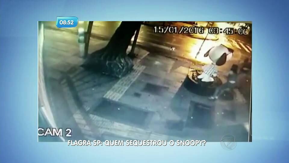 Um casal chegou a pé, por volta das 3h45, e retiraram a
estátua da base com facilidade. Logo em seguida, os dois vão embora carregando o
Snoopy 
No R7 Play, você pode assistir ao SP no Ar na íntegra! Clique e experimente de graça!

