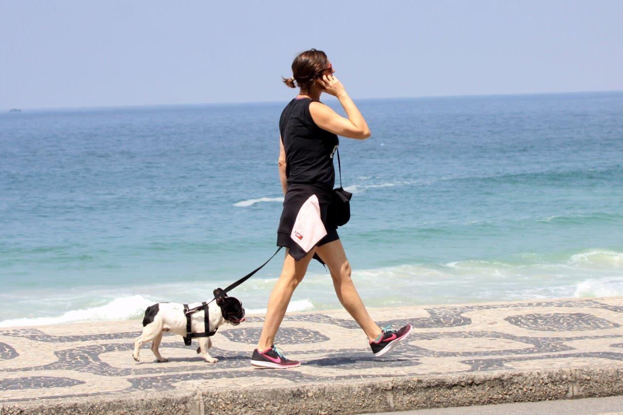 Da raça bulldog francês, o cão fez companhia na exercício dela