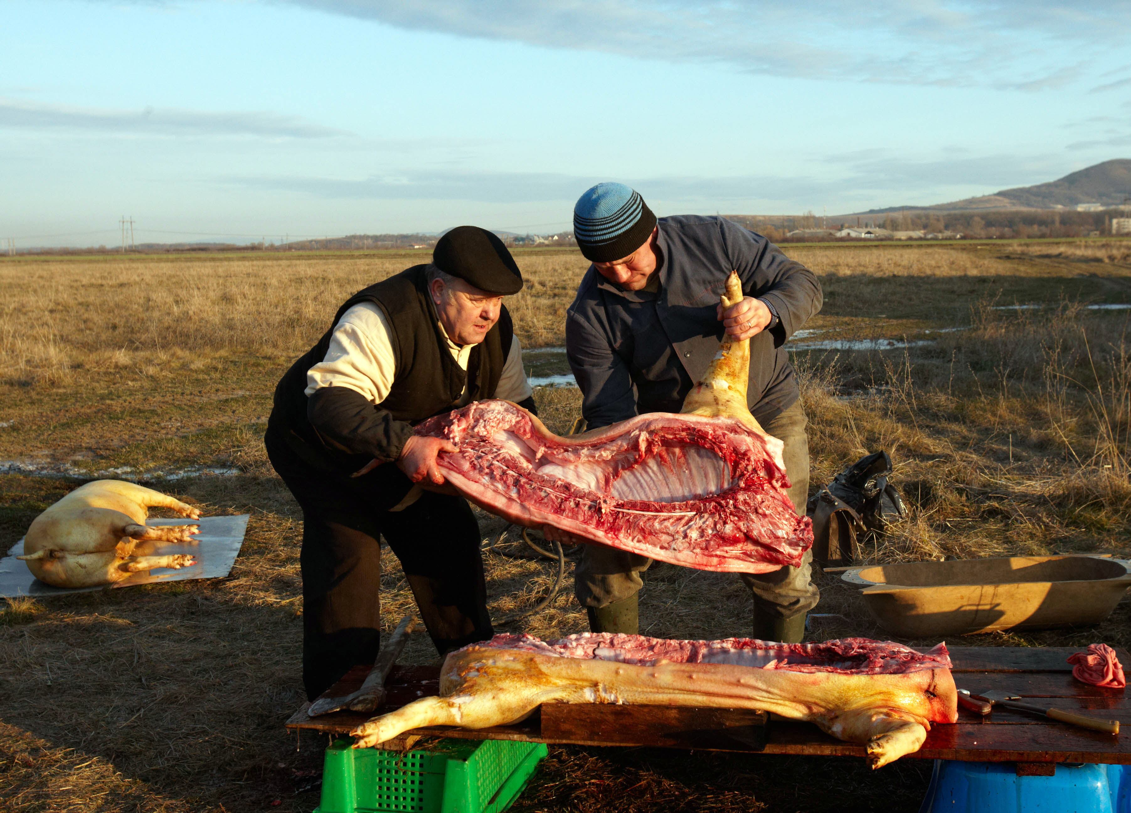 Competidores seguram metade da carcaça de um porco durante Festival
de Porcos em Gecha, na Ucrânia