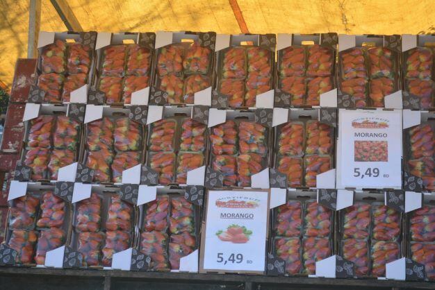 SP - VENDEDOR-MORANGO-GUARULHOS - GERAL - Vendedor de morango é visto na cidade de Guarulhos ,SP, nesta sexta 22. 22/07/2022 - Foto: JOãO NOGUEIRA/FUTURA PRESS/FUTURA PRESS/ESTADÃO CONTEÚDO