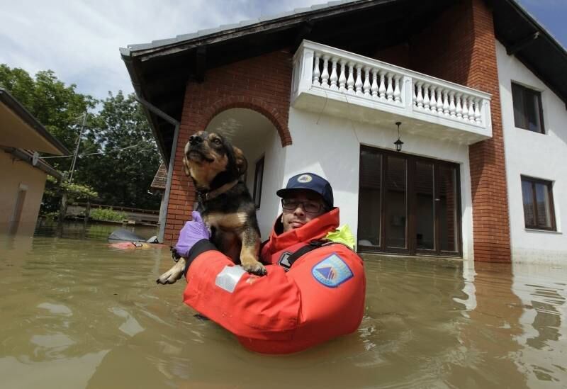 Um bombeiro da Proteção
Civil da Eslovênia salva um cachorro durante as enchentes no vilarejo de Prud,
na Bósnia. As inundações já mataram dúzias de pessoas e são as piores em 120
anos