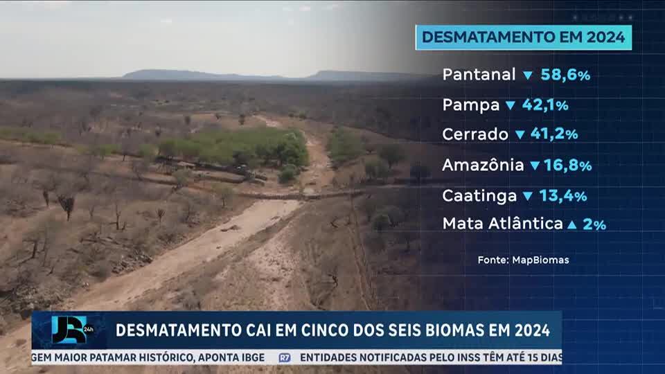 Desmatamento cai mais de 30% no Brasil, em 2024