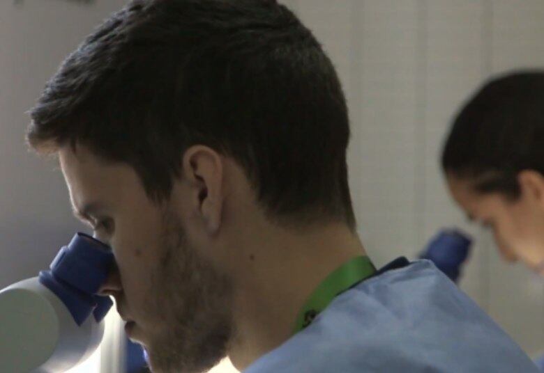 "As áreas onde o mosquito foi solto com a bactéria Wolbachia experimentaram uma redução de 75% nos casos de dengue. A gente espera que em 4 anos, tenhamos uma redução em torno de 75% nos casos de dengue", finaliza Jackson Machado Pinto.
Leia também: Vacina da febre amarela pode ser aliada na luta contra a dengue