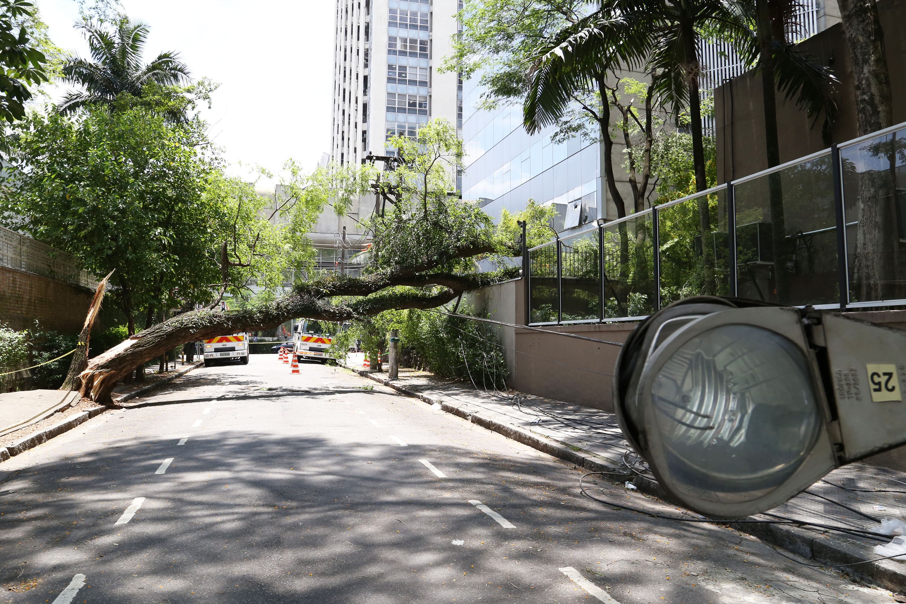 Rua Ceilão ficou totalmente bloqueada; agentes de trânsito foram deslocados para orientar motoristas