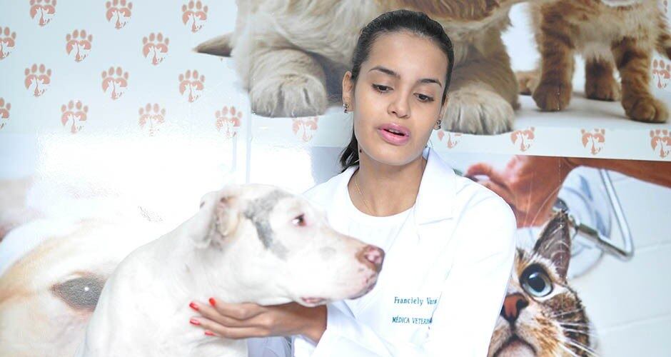 A veterinária suspeita também de leishmaniose, doença do
carrapato e até de que Angel esteja prenha.
— Como essa tinta é muito tóxica, vamos ter que fazer vários exames para ver
como está a função renal e hepática, vamos fazer também um hemograma completo
para confirmar as suspeitas