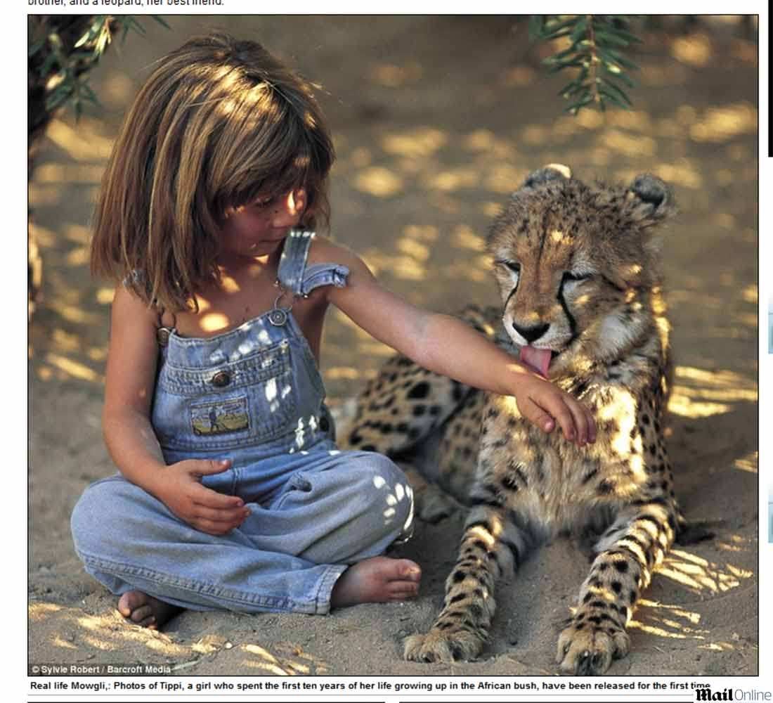 

Conheça Tippi
Benjamine, a menina também chamada de “A Mogli da vida real”. Assim como o
personagem do desenho de Walt Disney, ela também cresceu no meio da natureza e
dos animais selvagens, onde passou seus primeiros dez anos de vida.



Fotografias
de seu período na selva acabam de ser divulgadas em um livro, e mostram, entre muitas
aventuras, a menina fazendo amizade com um elefante – a quem chamava de seu “irmão”
– e um leopardo, eleito como seu “melhor amigo”