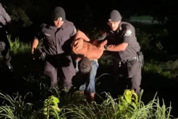 O criminoso foi encontrado escondido em cima de uma árvore em um terreno baldio