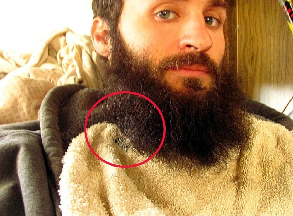 Sim, com a barba, Doss protege o animal do frio nas ruas da cidade de Athens, em Ohio, nos Estados Unidos