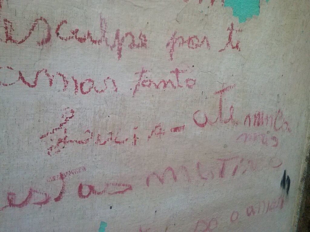 Perícia encontrou bolsa com documentos da suspeita no quintal