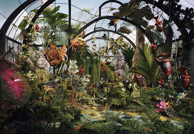 De acordo com cientistas, estamos no processo de acabar com os nossos
únicos companheiros conhecidos no Universo. Essas espécies que estão
desaparecendo são essenciais aos humanos, pois fazem parte de um
ecossistema que regula o clima, mantém o solo fértil, poliniza culturas,
protege de pragas, filtram a água e ainda nos fornecem comida