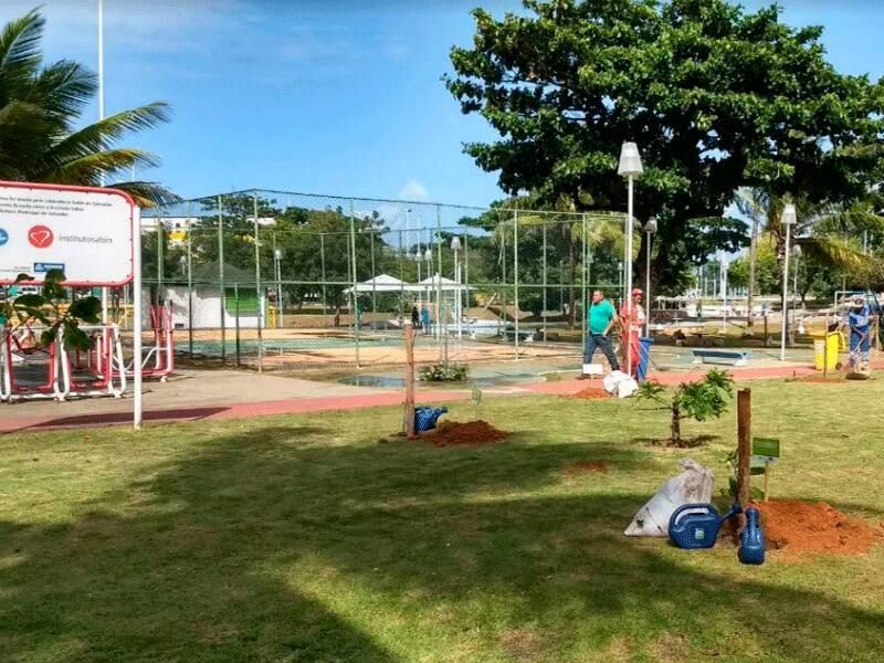 O segundo pomar urbano de Salvador será desenvolvido nesta sexta-feira (28), na Praça Guaratuba, em Stella Maris