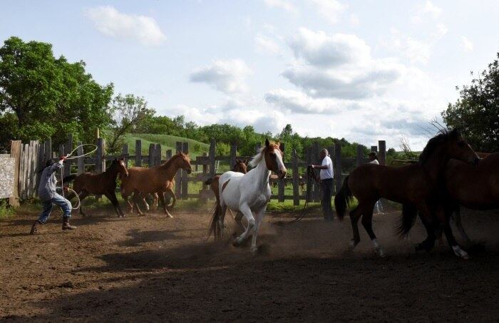 O passeio é feito com uma equipe de segurança, semelhantes aos que haviam trabalhado na segurança dos protestos. Depois de ficar em pé, alguns deles desceram o rio Missouri até a reserva de Lower Brule, onde "podiam viver como seus ancestrais, exceto com a Netflix", conforme explicou o nativo Alton One Feather, pai