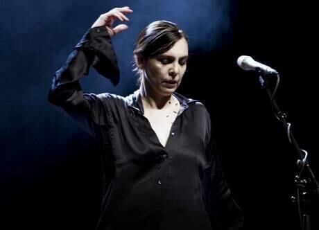 Adriana Calcanhotto: cantora e professora