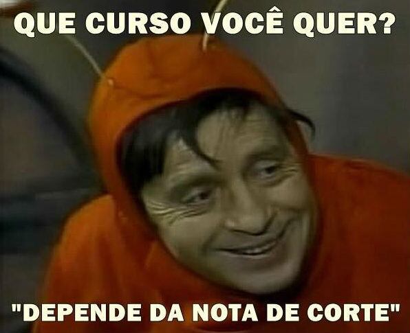 Sisu2015_memes_educação