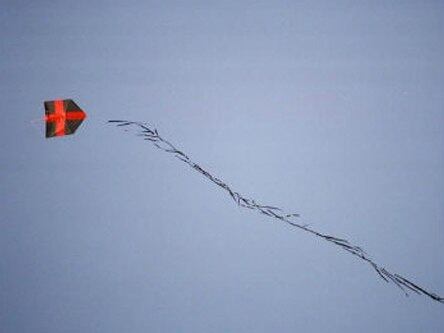 O Tribunal do Júri do Gama, região administrativa do Distrito Federal, condenou a 14 anos e seis meses de reclusão, um rapaz acusado de matar um jovem que teria cortado sua pipa. O réu foi condenado por homicídio qualificado por motivo fútil e mediante recurso que dificultou a defesa da vítima e também por porte ilegal de arma de fogo. Leia mais