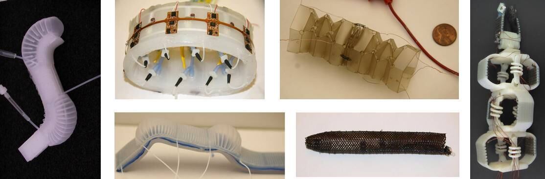 Um cientista americano guarda em um tanque vários peixes que não se alimentam de comida, mas de bateria e gás comprimido. Os "bichos" nada mais são que objetos robóticos feitos de silicone. O peixe Bubbles, que imita uma carpa, é o primeiro robô autônomo e independente feito de materiais maleáveis