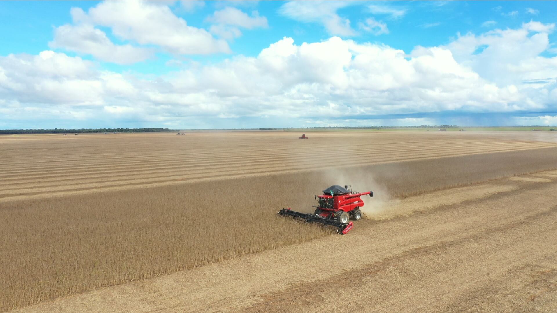 'Moratória da soja nada mais é do que um cartel', afirma executivo ao celebrar suspensão da prática