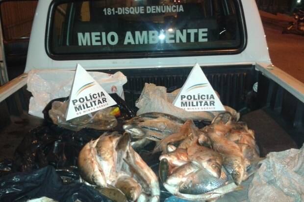 Peixes estavam sendo vendidos em bar