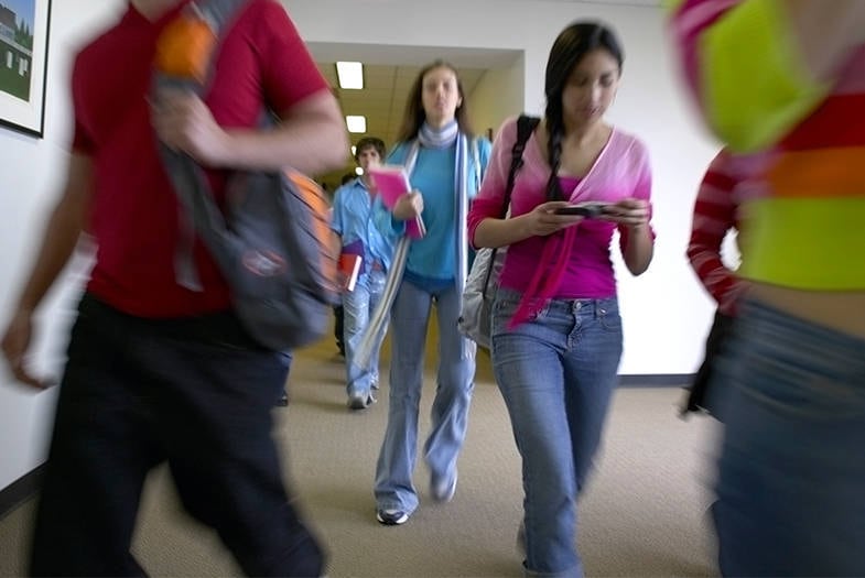 Stock, alunos, educação, estudantes, colégio, faculdade, caderno, livro, adolescentes, jovens