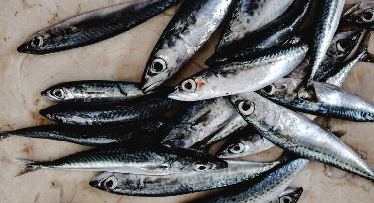 As sardinhas, o salmão e outros peixes gordos são ricos em ômega 3, fundamental para manter a saúde do cérebro em dia. Os experts afirmam ainda que os óleos e gorduras saudáveis, ricos nesses compostos, são importantes para aumentar os níveis de serotonina e elevar o estado de ânimo, "além de serem maravilhosas pra o bom funcionamento do cérebro", conta a dupla. "Essas gorduras saudáveis também podem ser encontradas em peixes como anchova e atum. E nas algas marinhas, nas nozes, castanhas e sementes de abóbora", contam. Ferran e Sara são bastante a favor desses alimentos: “os pescados são os melhores amigos de um ansioso", afirmam
