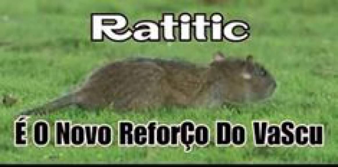 Internet não perdoa invasão de rato durante Vasco x Bahia