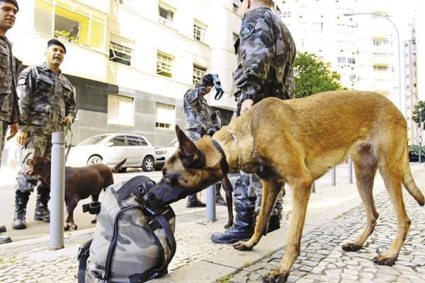 BAC conta atualmente com 70 cães e 219 policiais