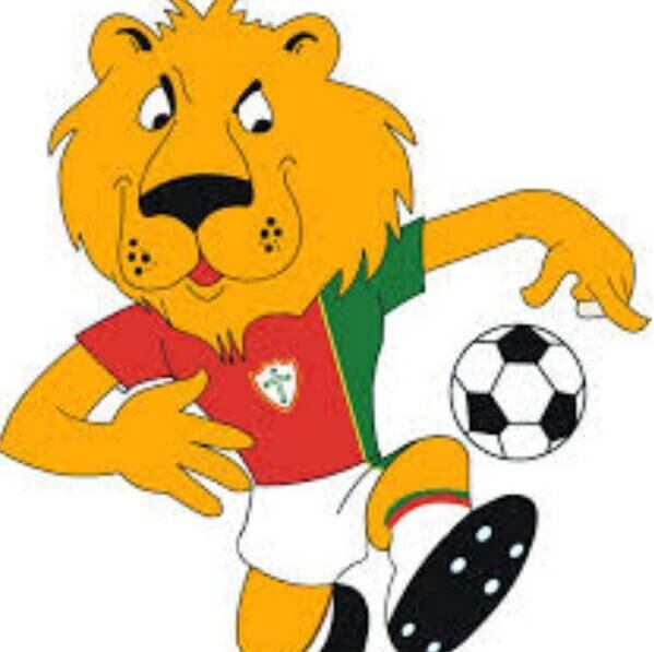 Mas o mascote da Portuguesa também chama a atenção dos torcedores: o Leãozinho da Lusa
