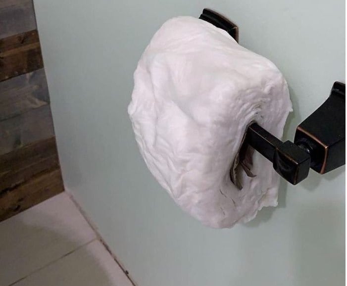 O que não faltam são depoimentos hilários: "Minha filha derrubou o rolo de papel higiênico dentro da privada, mas avisou, gentilmente, que não precisávamos nos preocupar porque ela já havia lavado"
