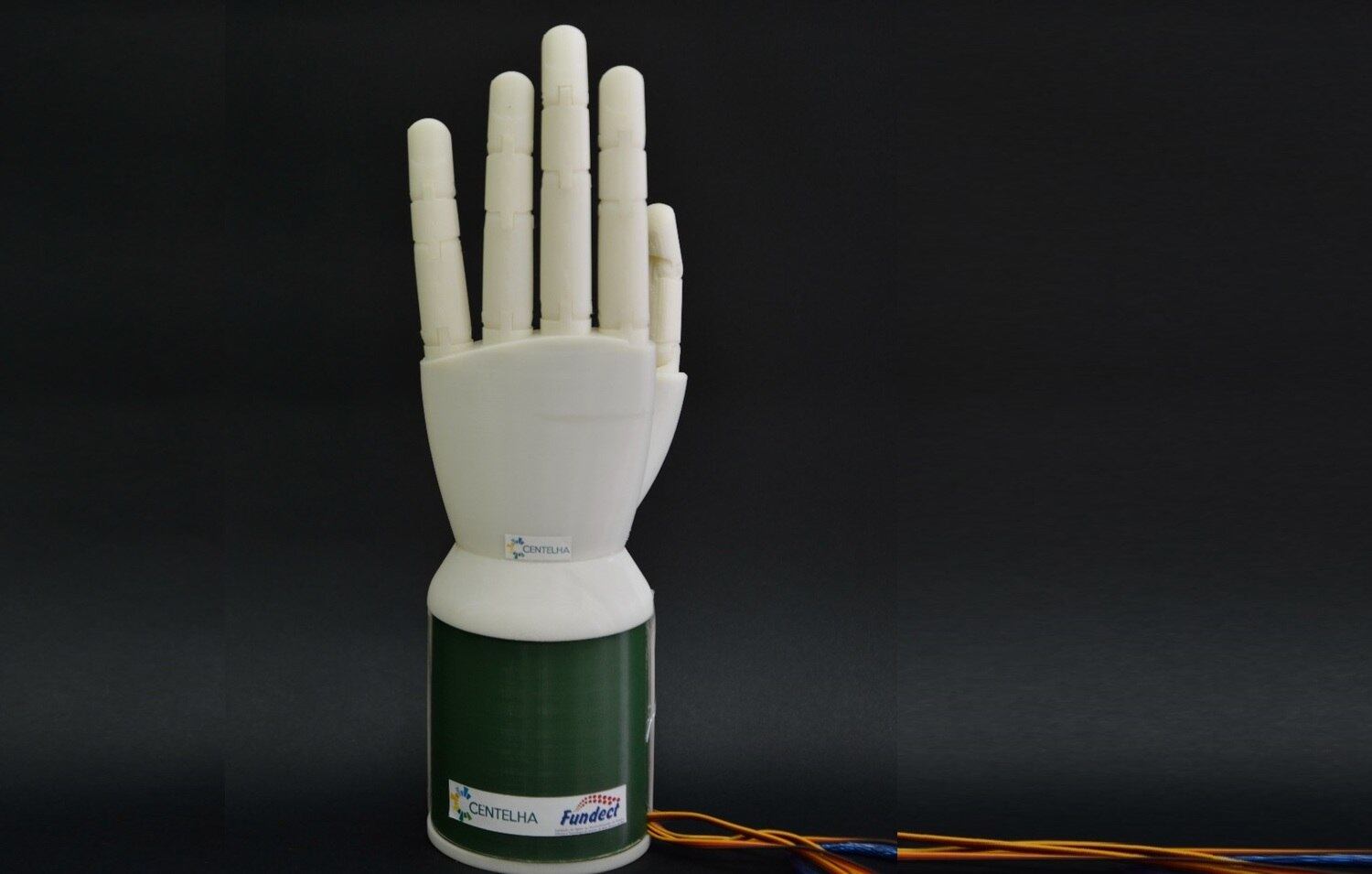 (Foto: Divulgação)