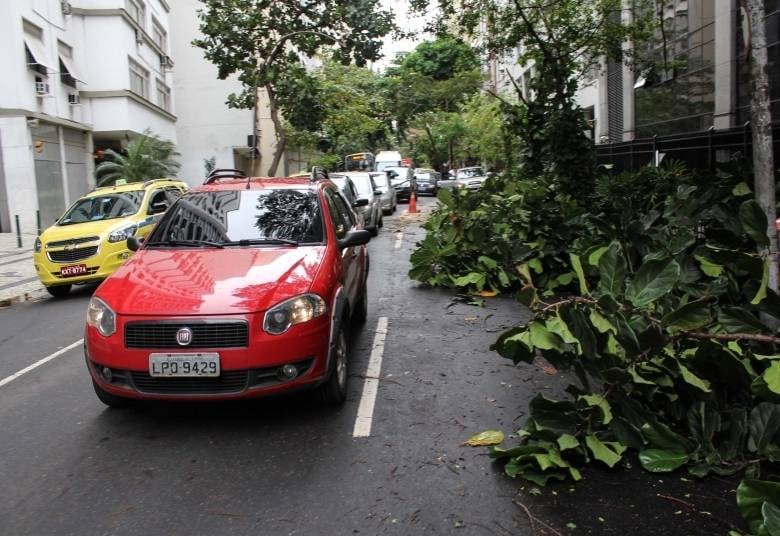 Diversos pontos das zonas sul e oeste da cidade tiveram interdições no trânsito em razão das árvores caídas