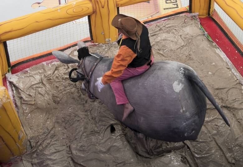 Caso contrário, são
derrubados no chão pelo “bicho”, que odeia afirmações incorretas e aumenta a
velocidade de seus rodopios toda vez que ouve um erro. Para deixar a disputa
ainda mais emocionante, a produção coloca lama no cercadinho do jegue

•VÍDEO: Paula Fernandes, Rayanne Morais, Rodrigo Capella e mais famosos se divertem no Muro dos Famosos
