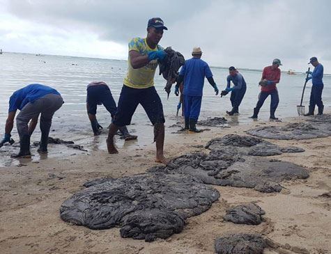 A cartilha, compartilhada nas redes sociais, traz alerta sobre os riscos do contato com o óleo encontrado nas prais de Pernambuco 