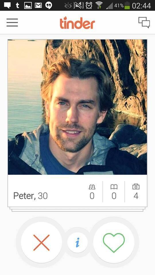 O Tumblr também se chama Tinder na Suécia e traz vários gatos em pose de modelo