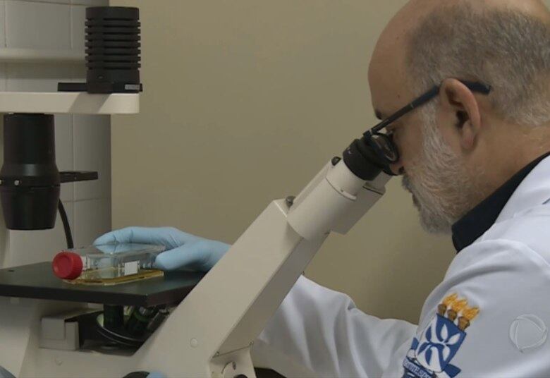 Pesquisadores da Bahia responsáveis pela descoberta do vírus zika no Brasil revelam que o vírus transmitido pelo Aedes aegypti está associado também a meningite viral. A suspeita foi confirmada após dois anos de estudo realizado com 200 pessoas em Salvador (BA)