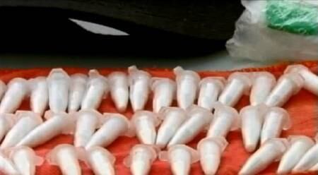 Polícia encontrou 60 porções de cocaína com o trio