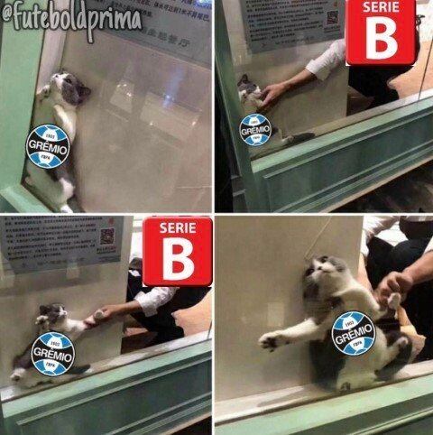Brasileirão: próximo de rebaixamento para Série B, Grêmio sofre com os memes na web.