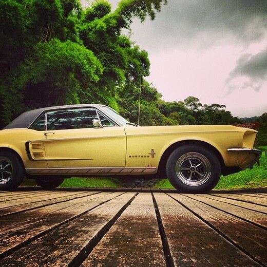 Carros do apresentador William Bonner