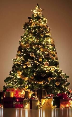 43% dos entrevistados pretendem gastar menos