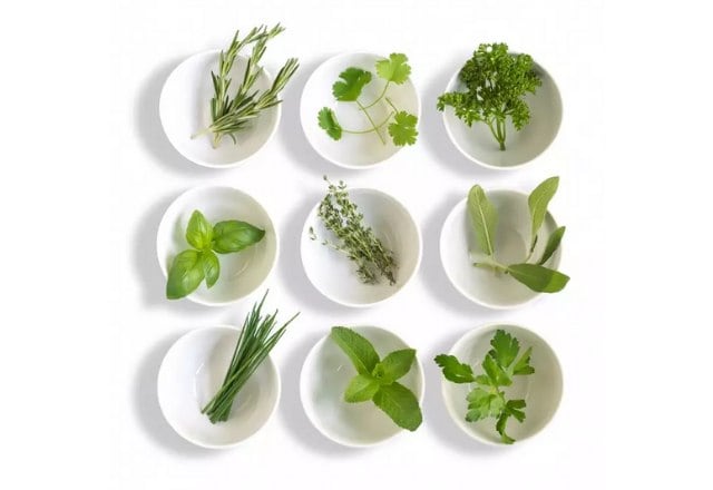 O chef também deu a dica de como fazer com que as ervas frescas durem mais tempo! É bem simples, basta tratá-las como uma flor, ou seja, cortar o caule, manter em um copo de água com um saquinho plástico em cima das folhas, sempre fora da geladeira!