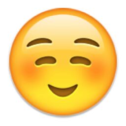 A representação das palavras foi escolhida para que palavras similares tivessem uma pequena distância entre si. Para cada emoji, o time trabalhou seu "ângulo" entre ele e outras palavras. Palavras com um ângulo pequeno tendem a ser parecidas com a tradução aproximada delas em inglês escrito