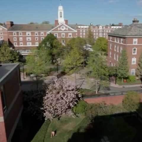 Abrindo o Top 5, a Universidade de Harvard teve 98 pontos no levantamento. Mais antiga faculdade dos Estados Unidos, foi fundada em 1636 e já formou mais de 320 mil alunos. Oito presidentes estadunidenses passaram por lá, como Barack Obama (Escola de Direito) e John Kennedy (Assuntos Internacionais).