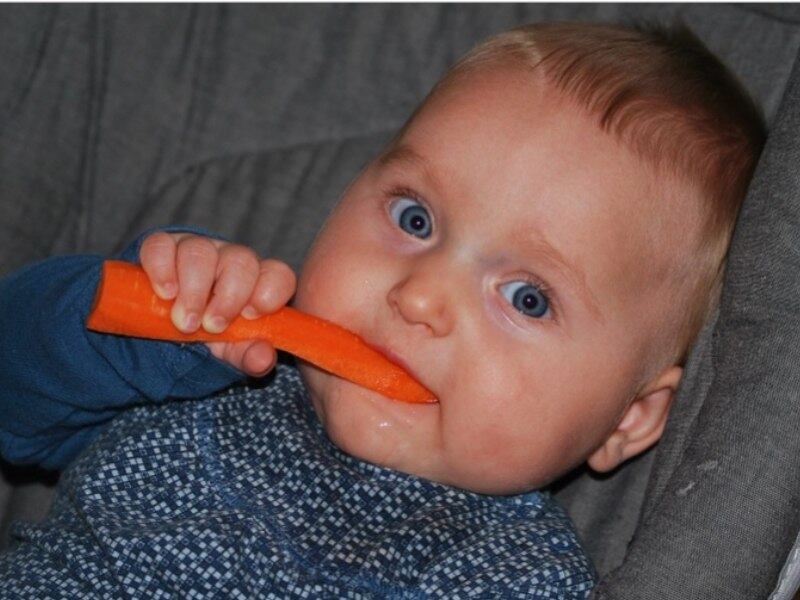 Porém, a profissional observa que para o bebê ser adepto desta prática alimentar é necessário que tenha características chamadas de ‘fatores de prontidão’, como sentar sem suporte e ereto na cadeira de alimentação; coordenação do movimento mão boca; interesse por objetos; presença de movimentos mastigatórios; movimento de pinça nos dedos; e interesse pelo prato dos adultos.