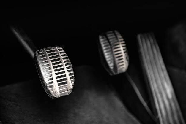 Freepik/Reprodução