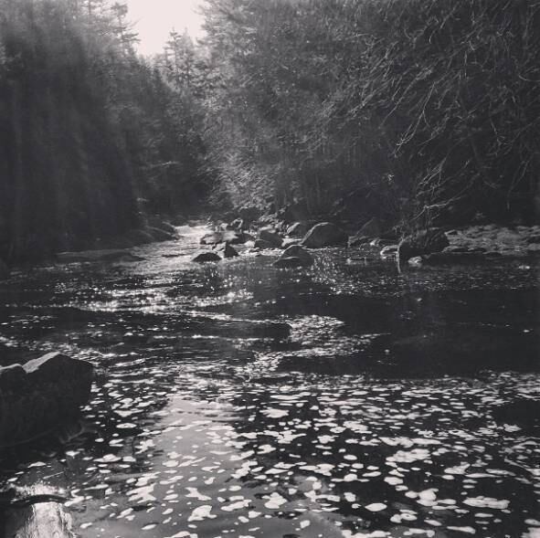 Willow: efeito em preto e branco de forma suave