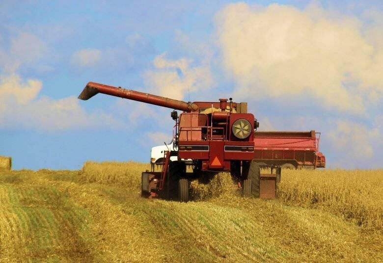 O Brasil, um dos maiores importadores globais de trigo, teve os Estados Unidos como o principal fornecedor